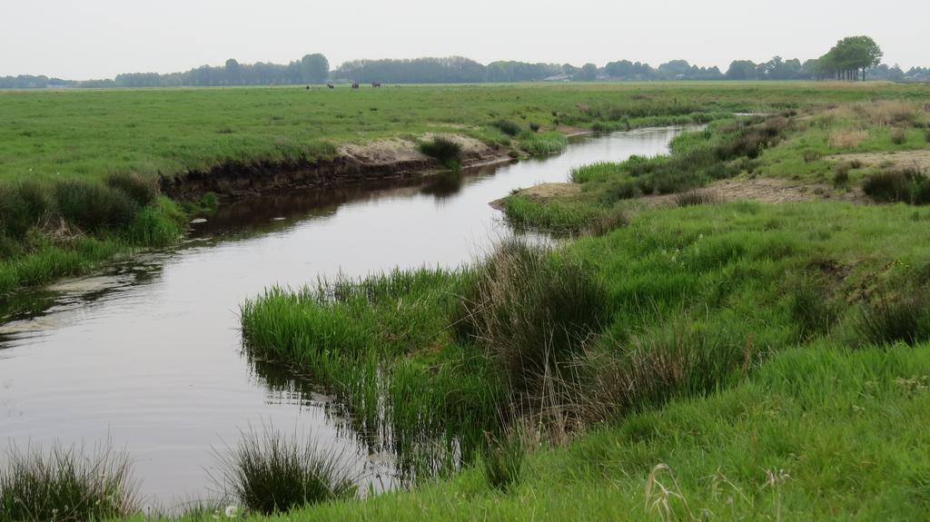 'T Zwanemeer Gieten Luaran gambar