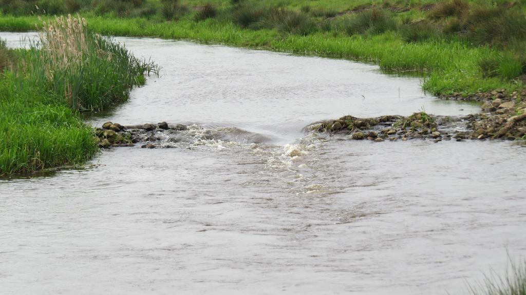 'T Zwanemeer Gieten Luaran gambar